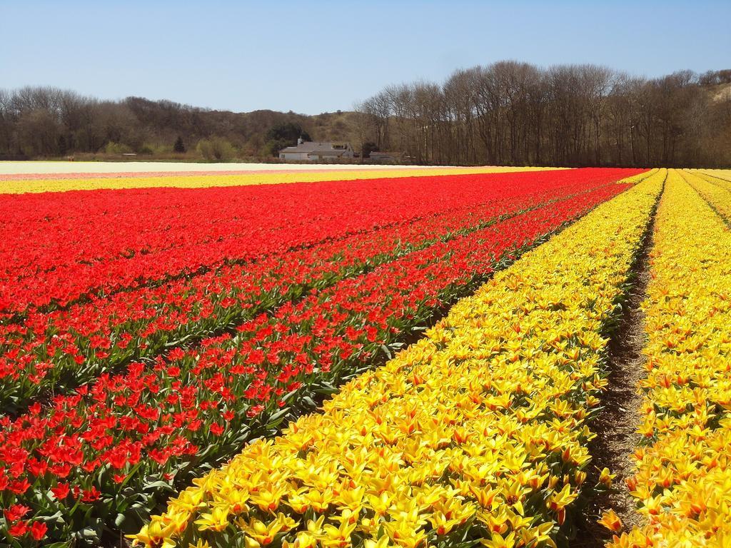 Bed&Breakfast Alkmaar Onder De Watertoren Екстер'єр фото